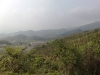 20090411840.jpg