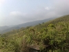 20090411842.jpg