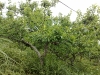 20090411843.jpg