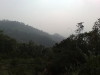 20090411847.jpg