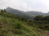 20090411849.jpg