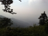 20090411850.jpg