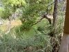 20090411855.jpg