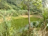 20090411856.jpg