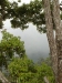20090411857.jpg
