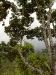 20090411858.jpg