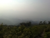 20090411859.jpg