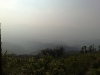 20090411860.jpg