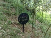 200905081105.jpg
