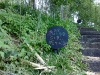 200905081106.jpg