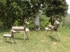 200905081121.jpg