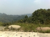 200905081129.jpg