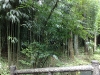 200906271575