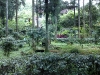 200906271576