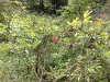200906271579