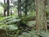 200906271583