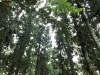 200906271586