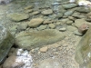200906271603