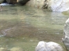 200906271604